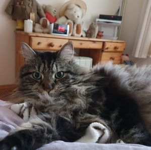 Meet your Posher, Kenny